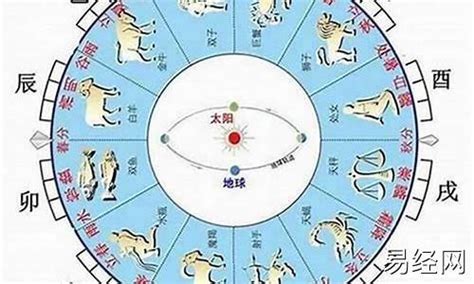 1963五行属什么|1963年属兔的是什么命，63年出生的兔五行属什么